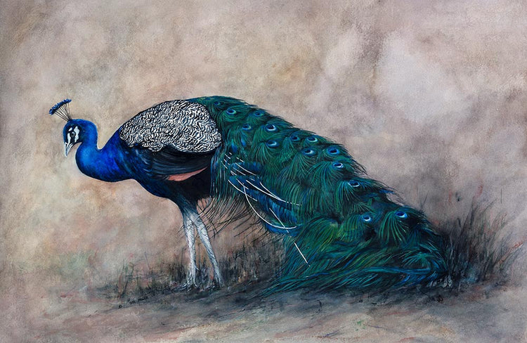 Bird Portraits