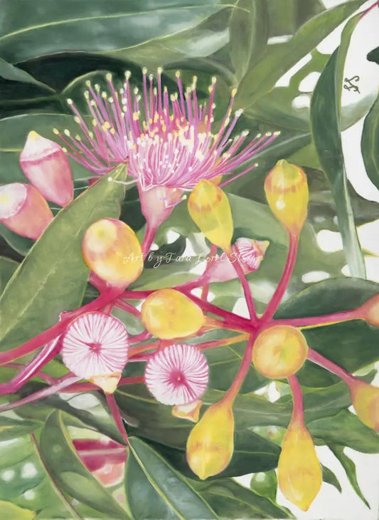 Eucalyptus in Bloom - Original