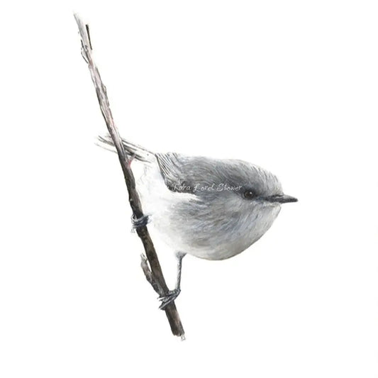 Little Warbler - Archival Print 250 x 250 mm