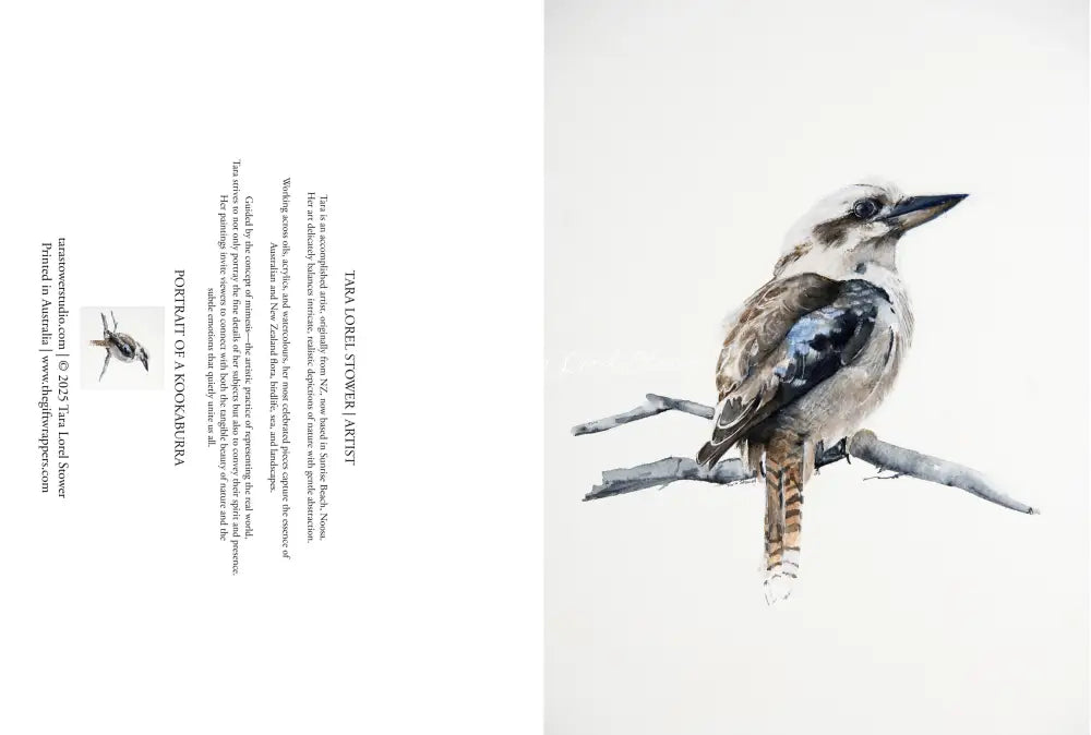 Portrait of a Kookaburra