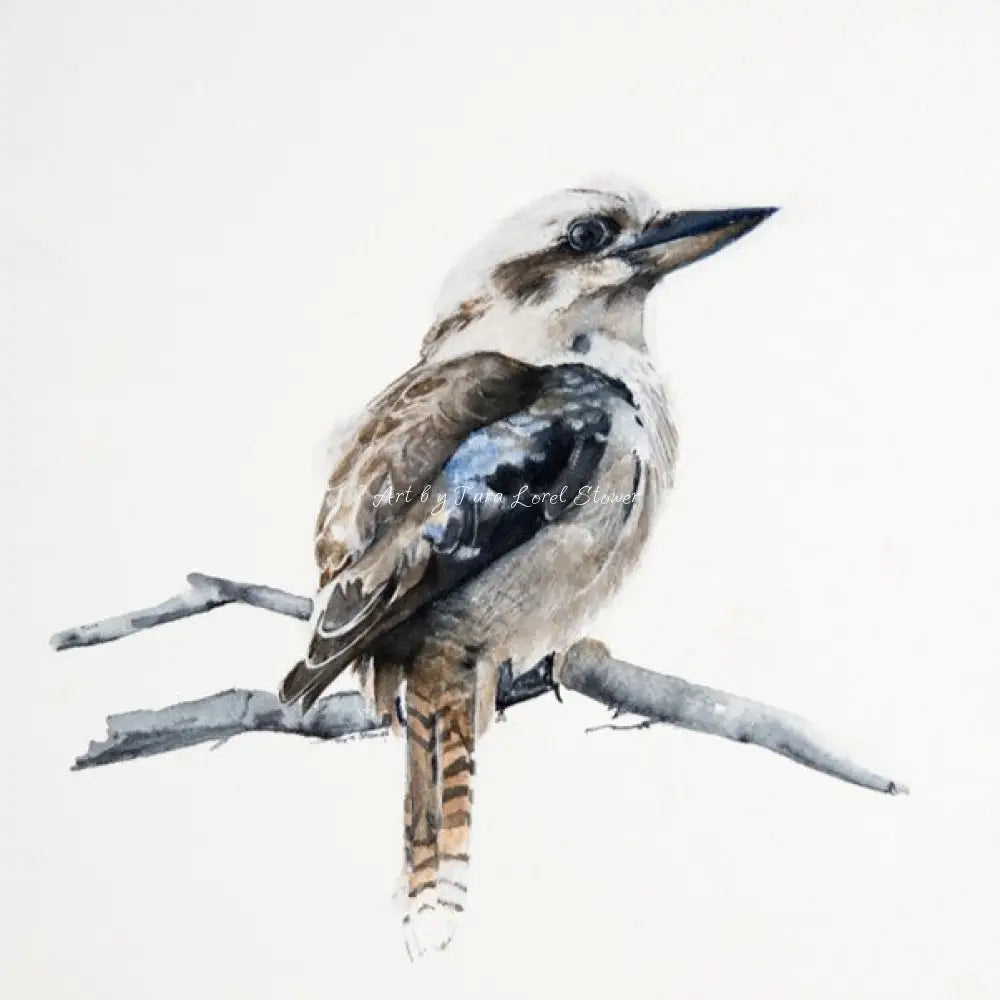 Portrait of a Kookaburra Bird LIMITED EDITION Print Artwork by Tara Lorel Stower