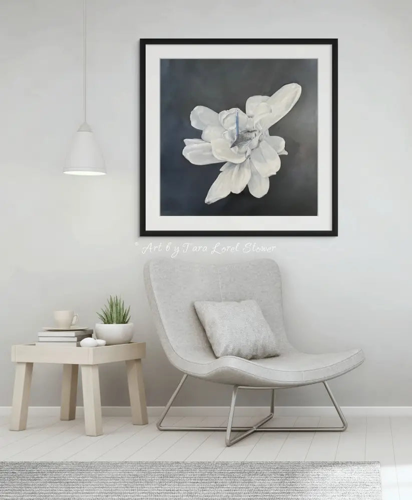 A Pause in the Petals Magnolia flower and fairy wren Limited Edition fine art print by Tara Lorel Stower