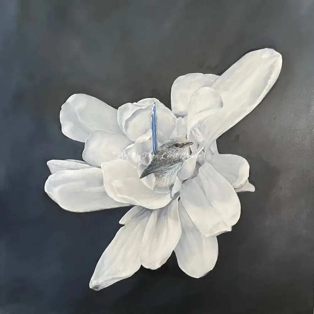 A Pause in the Petals Magnolia flower and fairy wren Original Oil Painting by Tara Lorel Stower