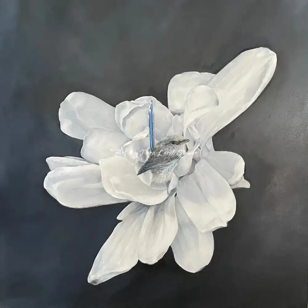 A Pause in the Petals Magnolia flower and fairy wren Original Oil Painting by Tara Lorel Stower