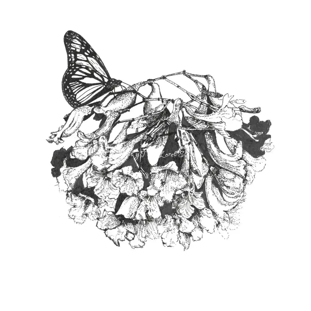 Gallery Wall | Archival Prints | Design your own layout From $120.00