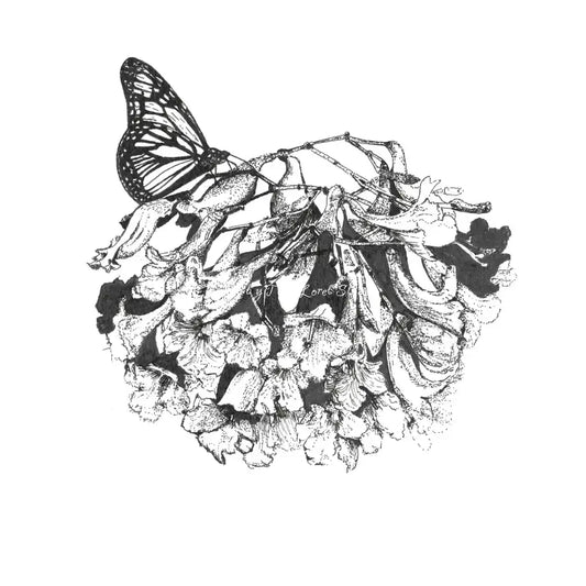 Gallery Wall | Archival Prints | Design your own layout From $120.00