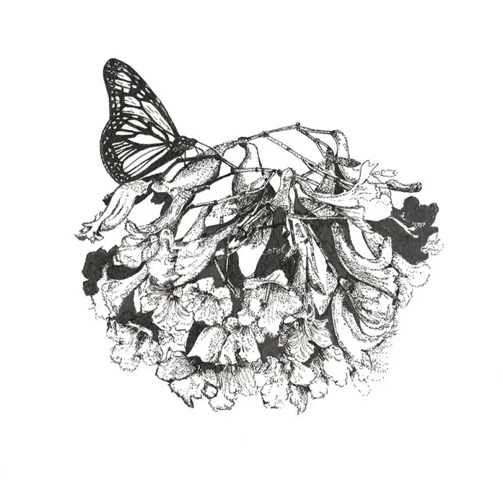 Alba | White Jacaranda - Original