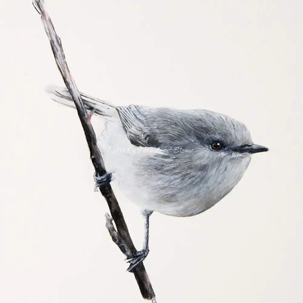 Art Tiles - Little Warbler