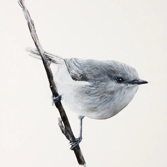 Art Tiles - Little Warbler