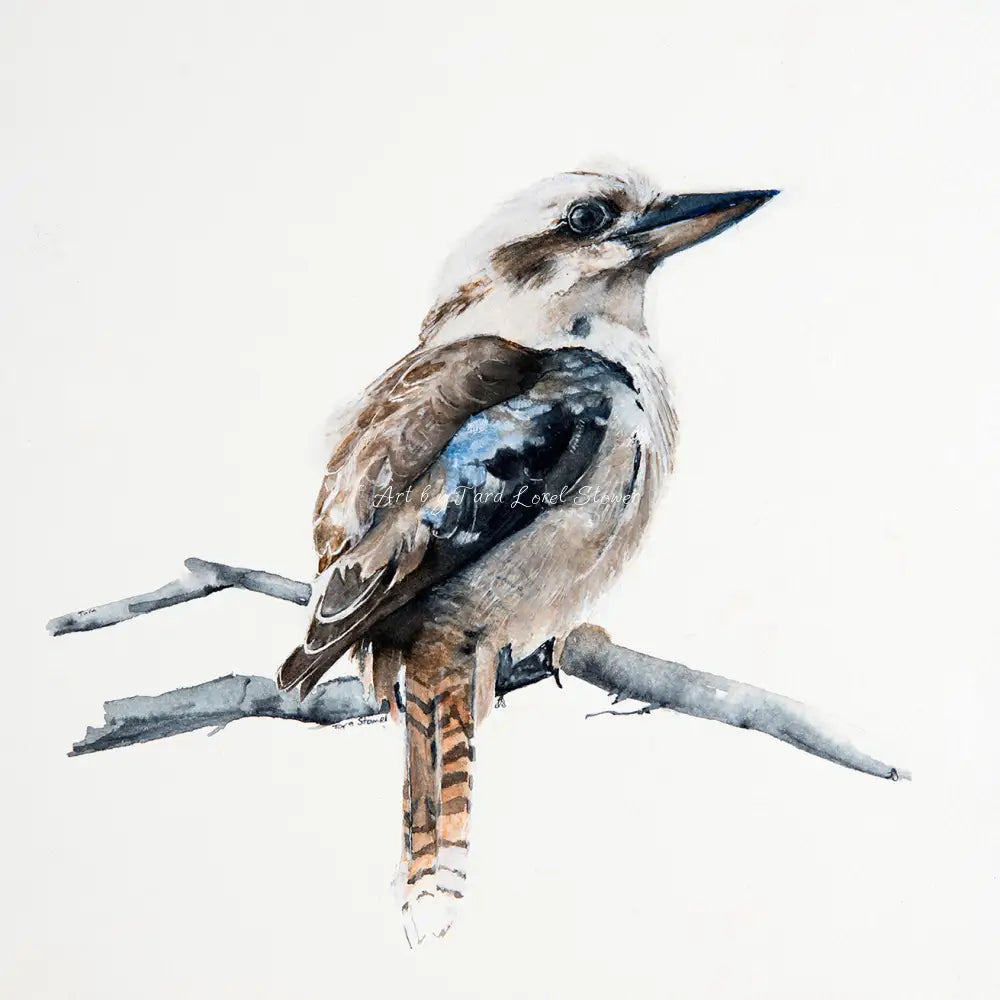 Art Tiles - Portrait of a Kookaburra