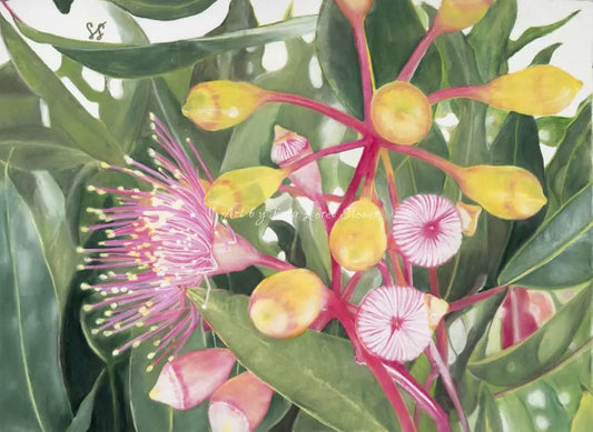 Bright Eucalyptus in Bloom Original Pastel Artwork by Tara Lorel Stower