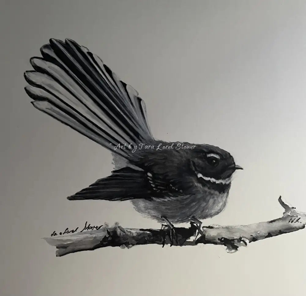 Fan Tail - Original - Pen & Ink Study