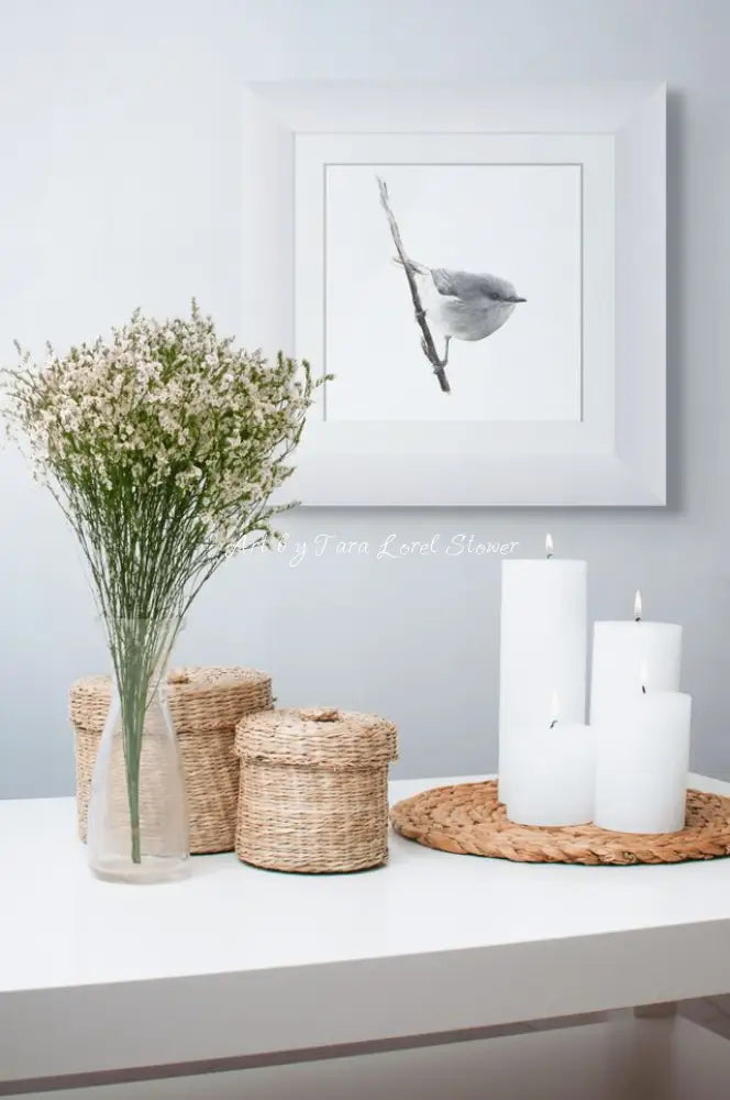 Little Warbler - Archival Print 250 x 250 mm