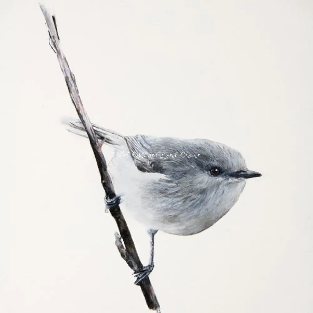 Little Warbler Bird Portrait LIMITED EDITION  Print Artwork by Tara Lorel Stower