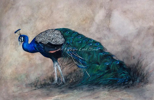Modesty Portrait of a Peacock Bird Watercolour Original painting by Tara Lorel Stower