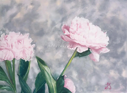 Delicate Pink Peony LIMITED EDITION Fine Art Print Artwork by Tara Lorel Stower