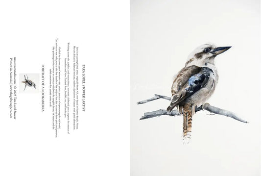Portrait of a Kookaburra