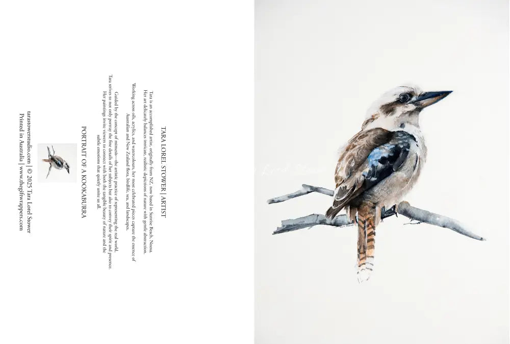 Portrait of a Kookaburra