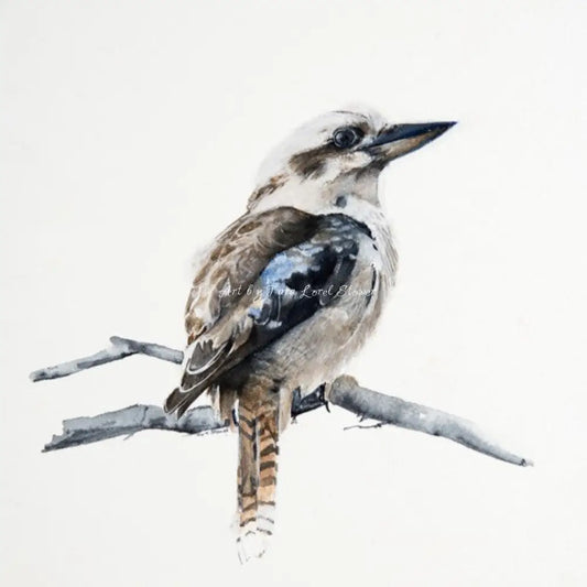 Portrait of a Kookaburra Bird LIMITED EDITION  Print Artwork by Tara Lorel Stower