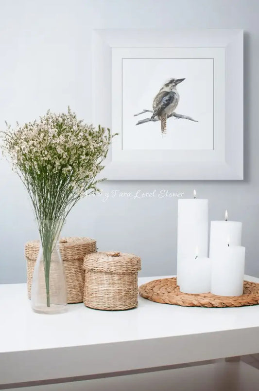 Portrait of a Kookaburra - Archival Print 250 x 250 mm