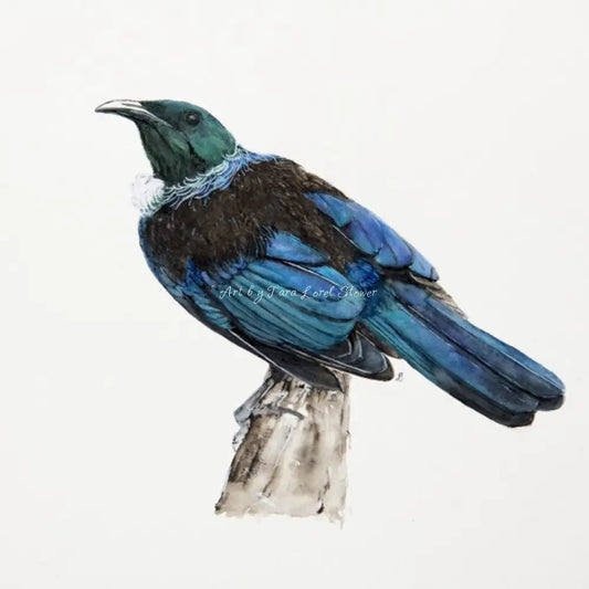 Portrait of a Tui Bird LIMITED EDITION Print Artwork by Tara Lorel Stower
