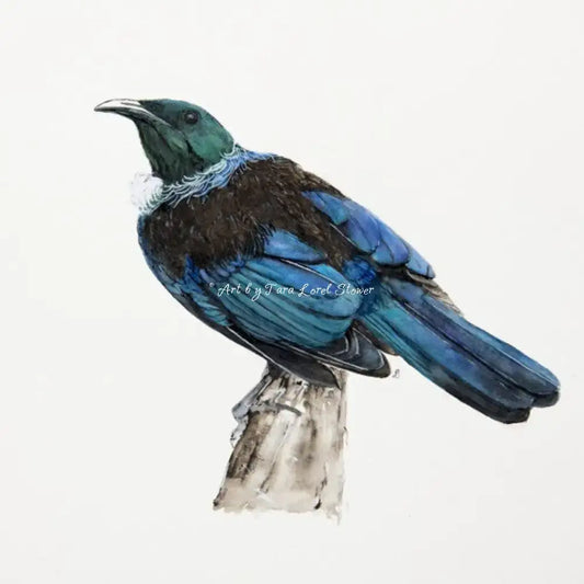 Portrait of a Tui Bird Original Watercolour Painting by Tara Lorel Stower