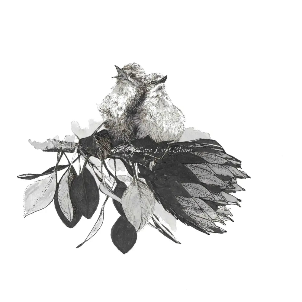 Gallery Wall | Archival Prints | Design your own layout From $120.00